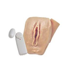 vagina  com vibro  ref  ct 13
